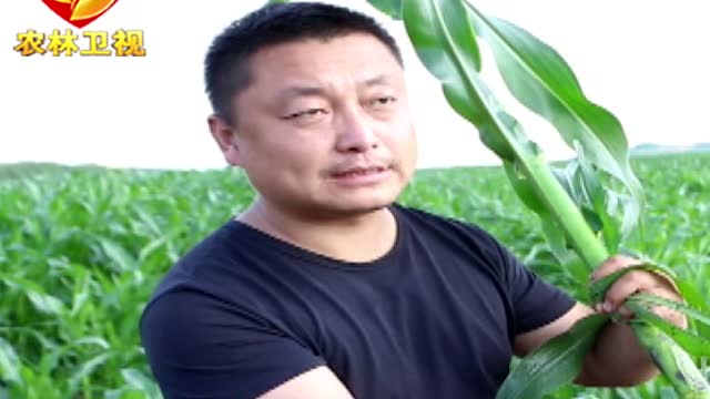 йũ㡷õǹ 